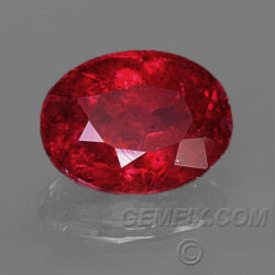 red ruby oval natural unheated untreated