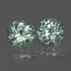 Green Pair Montana Sapphires Round