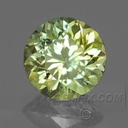 yellow green round Montana Sapphire