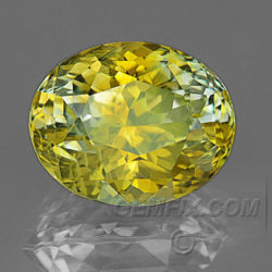 Yellow Parti Color Montana Sapphire Oval